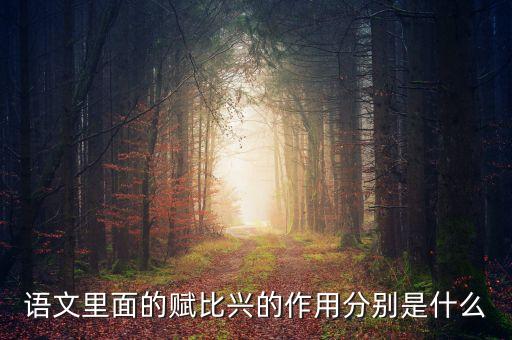 賦能作用是什么意思，語文里面的賦比興的作用分別是什么