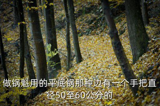 做鍋魁用的平底鍋那種邊有一個(gè)手把直徑50至60公分的