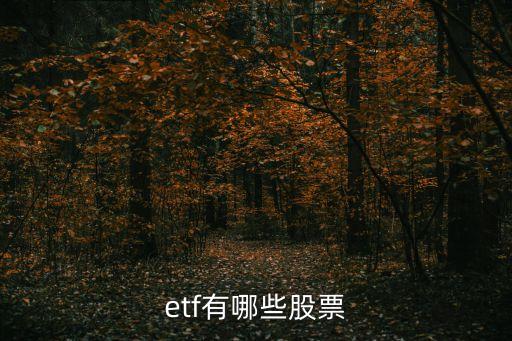 etf有哪些股票