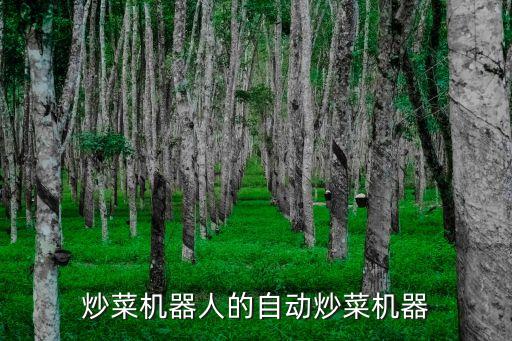 炒菜機(jī)器人的自動(dòng)炒菜機(jī)器