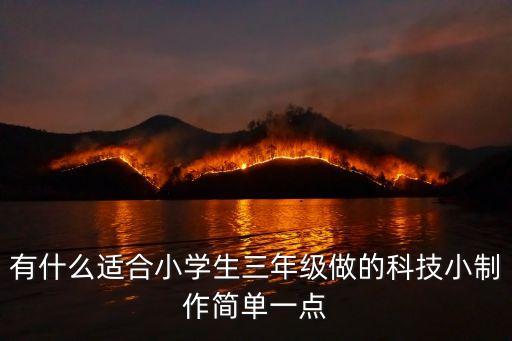 有什么適合小學(xué)生三年級做的科技小制作簡單一點(diǎn)