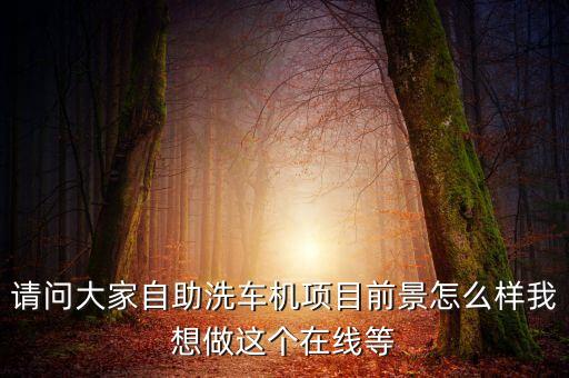 請問大家自助洗車機項目前景怎么樣我想做這個在線等