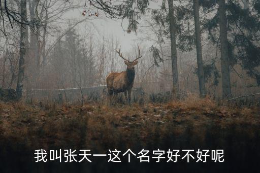 我叫張?zhí)煲贿@個名字好不好呢