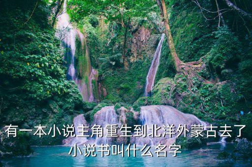 重生之北洋巨擘，有一本小說主角重生到北洋外蒙古去了小說書叫什么名字