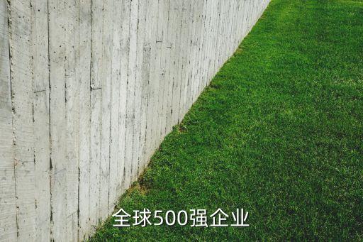 全球500強(qiáng)企業(yè)