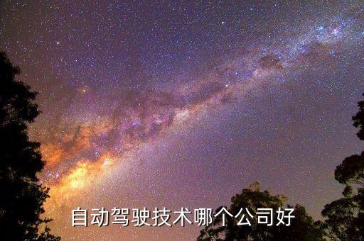 自動(dòng)駕駛科技公司國內(nèi)排名前十，中國國內(nèi)比較知名的CRO公司有哪些