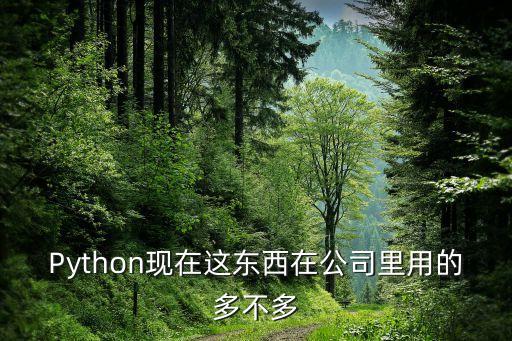Python現(xiàn)在這東西在公司里用的多不多