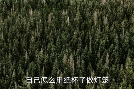 一次性紙杯怎么做燈籠，自己怎么用紙杯子做燈籠