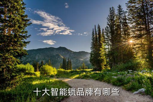 十大智能鎖品牌有哪些