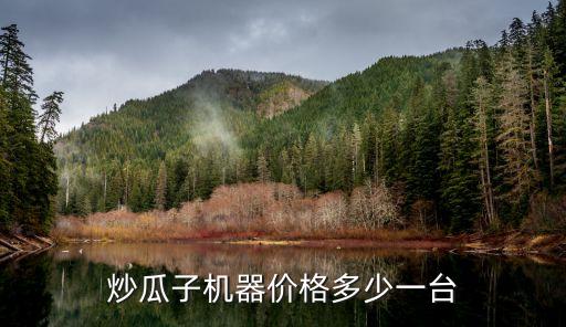 炒瓜子機器價格多少一臺