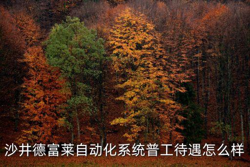 沙井德富萊自動(dòng)化系統(tǒng)普工待遇怎么樣