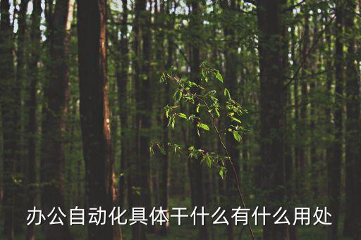 辦公自動化具體干什么有什么用處