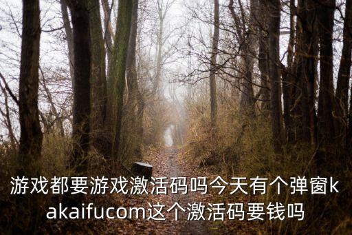 游戲都要游戲激活碼嗎今天有個彈窗kakaifucom這個激活碼要錢嗎
