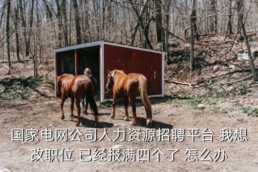 國家電網(wǎng)公司人力資源招聘平臺(tái) 我想改職位 已經(jīng)報(bào)滿四個(gè)了 怎么辦