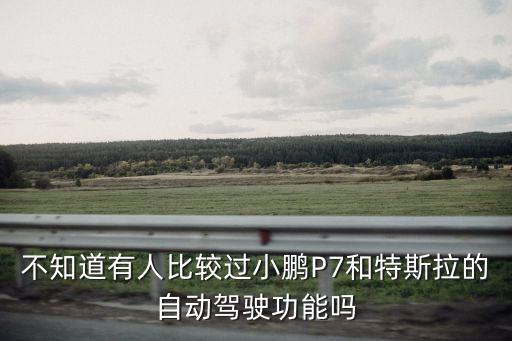 特斯拉哪個有自動駕駛，特斯拉的自動駕駛用什么語言開發(fā)