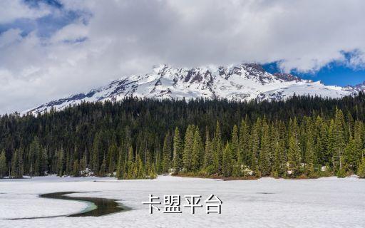 卡盟平臺(tái)