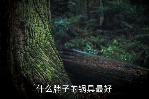 什么牌子的鍋具最好