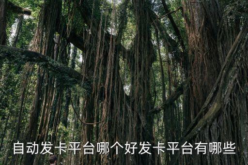 自動發(fā)卡平臺哪個好發(fā)卡平臺有哪些