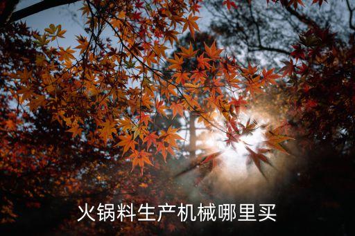 重慶火鍋炒料機(jī)器，火鍋料生產(chǎn)機(jī)械哪里買