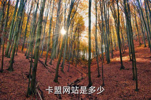 卡盟網(wǎng)站是多少