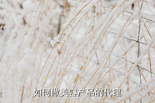 怎樣做美容產(chǎn)品代理，如何做美容產(chǎn)品的代理