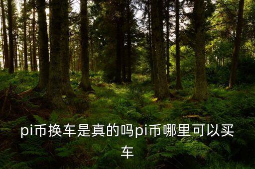 pi幣汽車(chē)商城，酷幣在那買(mǎi)車(chē)