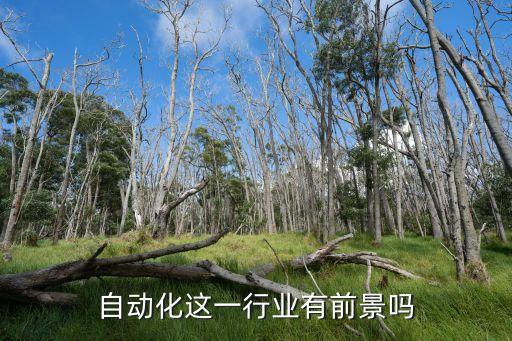 自動化這一行業(yè)有前景嗎