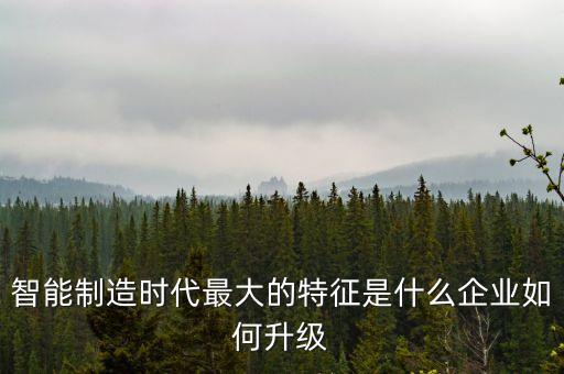 智能制造時代最大的特征是什么企業(yè)如何升級
