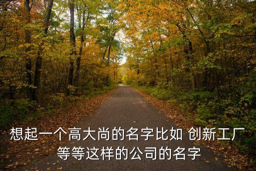 想起一個高大尚的名字比如 創(chuàng)新工廠 等等這樣的公司的名字