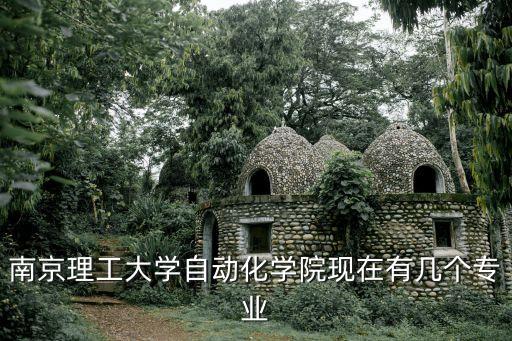 南京理工大學自動化學院現在有幾個專業(yè)
