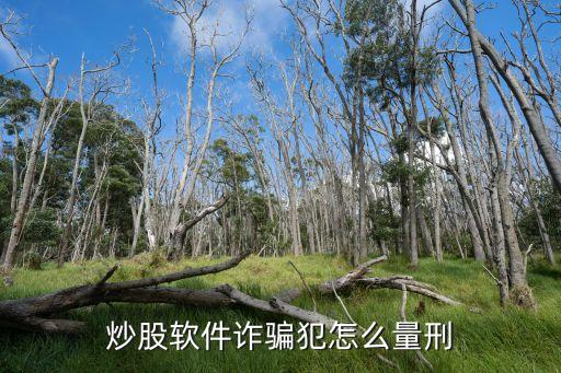 炒股軟件詐騙犯怎么量刑
