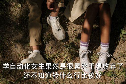 學(xué)自動化女生果然是很累終于想放棄了還不知道轉(zhuǎn)什么行比較好