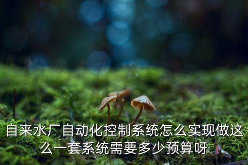 自來水廠自動化控制系統(tǒng)怎么實現(xiàn)做這么一套系統(tǒng)需要多少預(yù)算呀