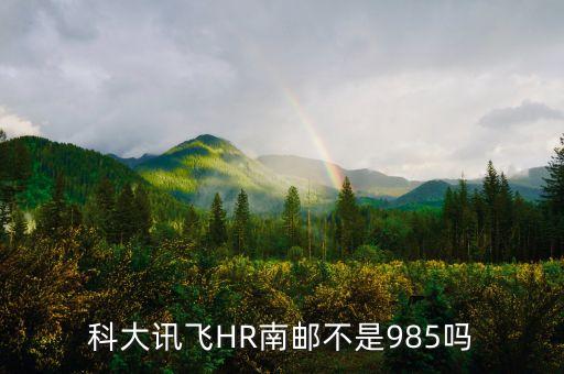 科大訊飛HR南郵不是985嗎