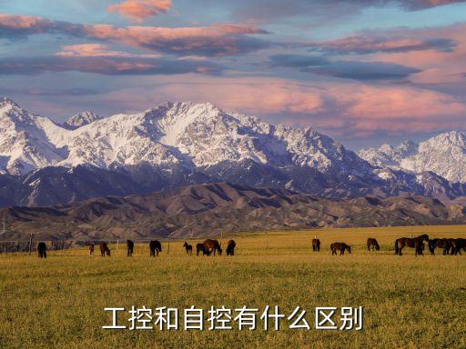 控制系統(tǒng)的被控量，過(guò)程控制系統(tǒng)鐘有哪些類(lèi)型的被控變量