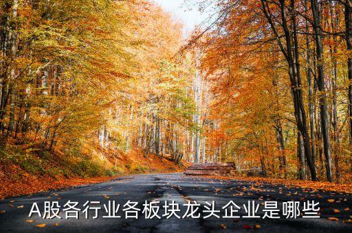 A股各行業(yè)各板塊龍頭企業(yè)是哪些