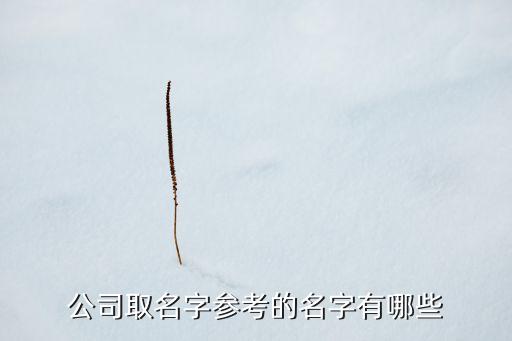 有寓意的公司名稱參考兩個(gè)字，征集一個(gè)大氣響亮易上口寓意好的2字公司名稱望大家積極給