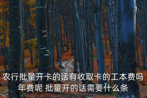 農(nóng)行批量開(kāi)卡的話有收取卡的工本費(fèi)嗎年費(fèi)呢 批量開(kāi)的話需要什么條