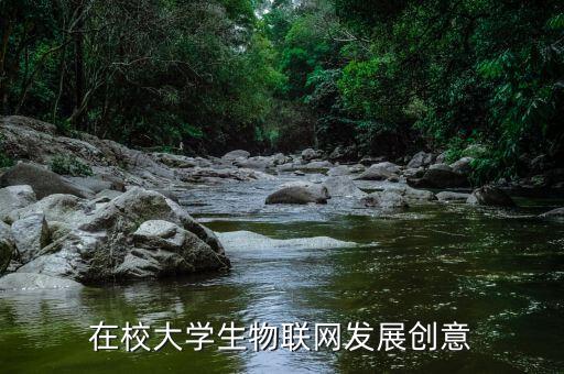 在校大學生物聯(lián)網(wǎng)發(fā)展創(chuàng)意