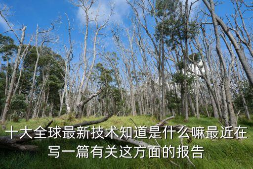 十大全球最新技術(shù)知道是什么嘛最近在寫(xiě)一篇有關(guān)這方面的報(bào)告