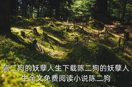 陳二狗的妖孽人生下載陳二狗的妖孽人生全文免費(fèi)閱讀小說陳二狗