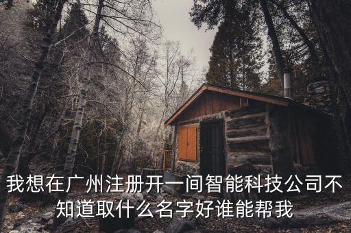 我想在廣州注冊(cè)開一間智能科技公司不知道取什么名字好誰(shuí)能幫我