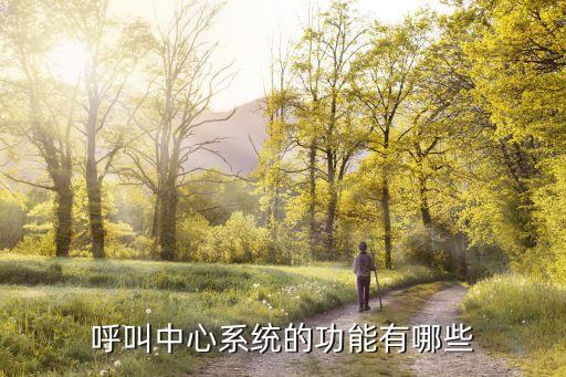 呼叫中心系統(tǒng)的功能有哪些