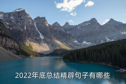 2022年底總結(jié)精辟句子有哪些