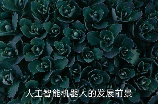 人工智能機(jī)器人的發(fā)展前景
