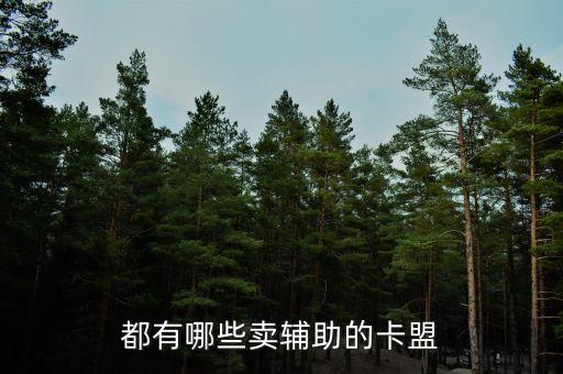 都有哪些賣輔助的卡盟
