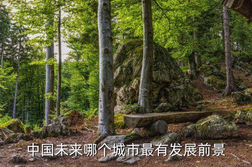 中國(guó)未來哪個(gè)城市最有發(fā)展前景