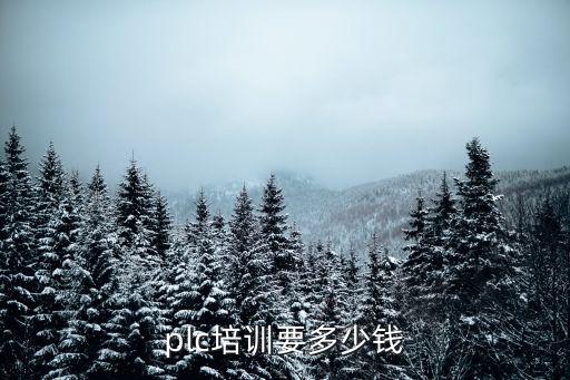 plc學(xué)費(fèi)一般多錢，plc培訓(xùn)要多少錢