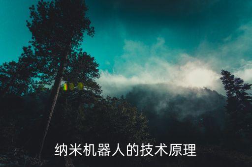 納米機(jī)器人的技術(shù)原理