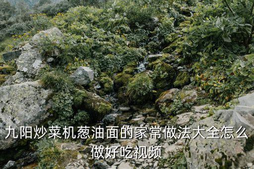 九陽炒菜機(jī)蔥油面的家常做法大全怎么做好吃視頻